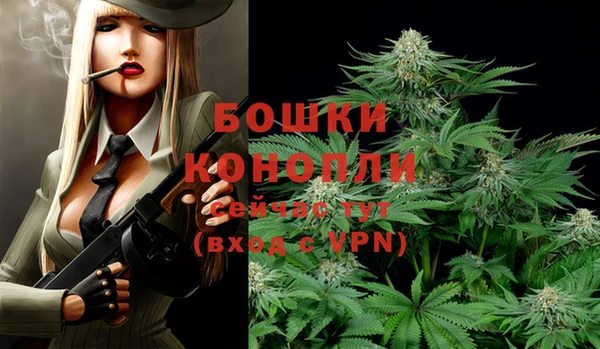 первитин Белокуриха