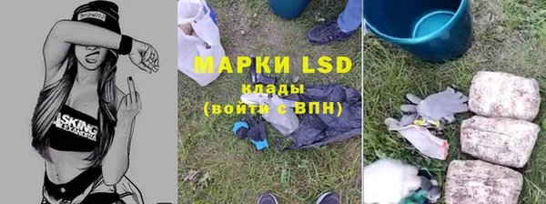 ПСИЛОЦИБИНОВЫЕ ГРИБЫ Слюдянка
